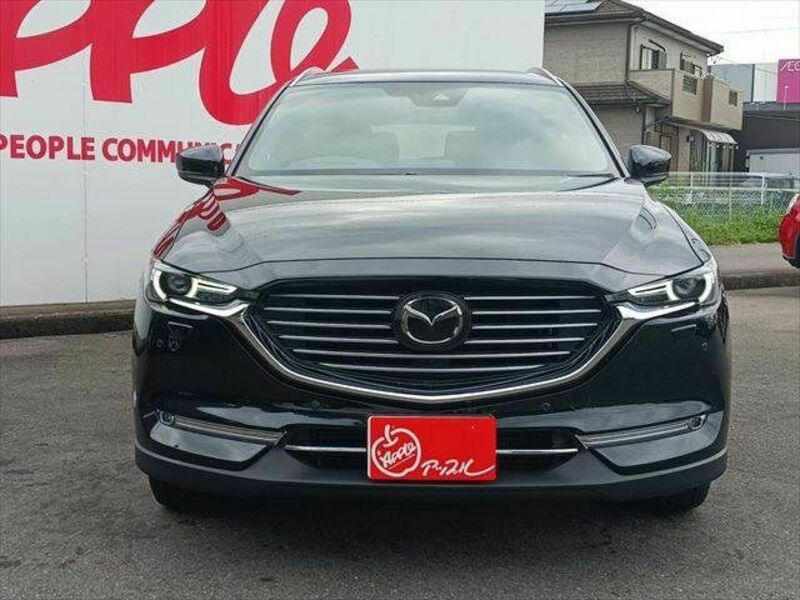 CX-8-14