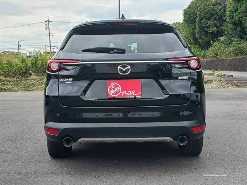 CX-8-18