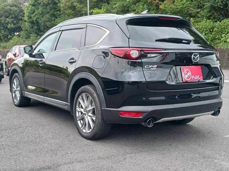 CX-8-19