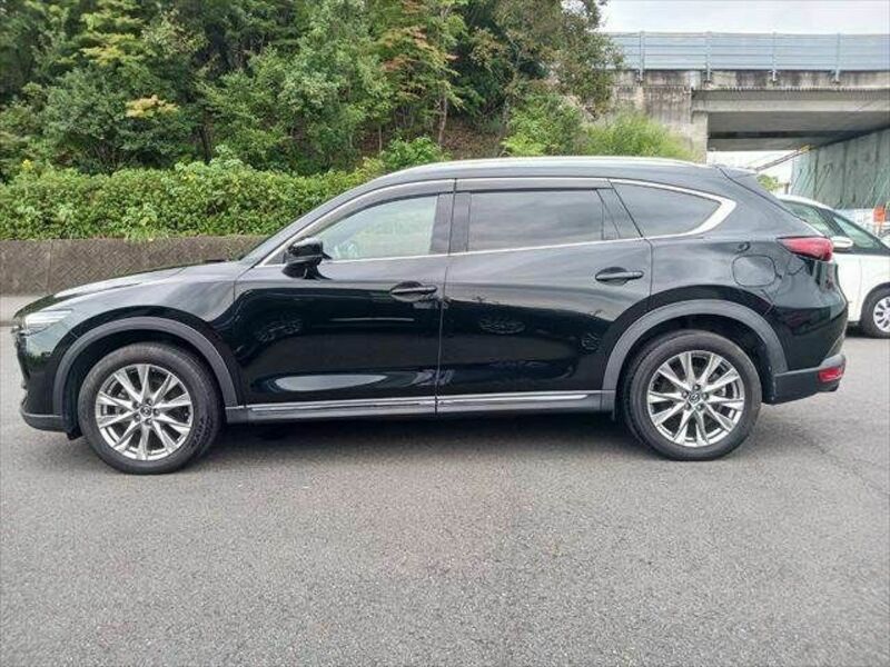 CX-8-20