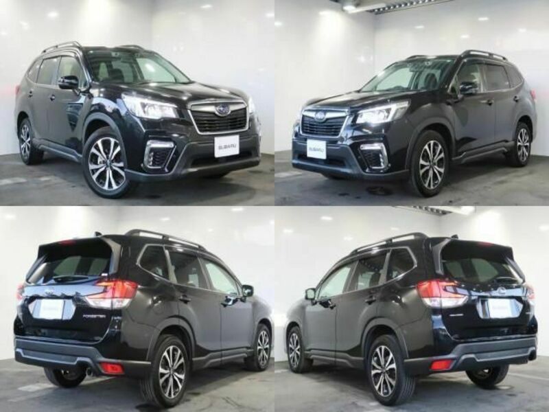 FORESTER-1