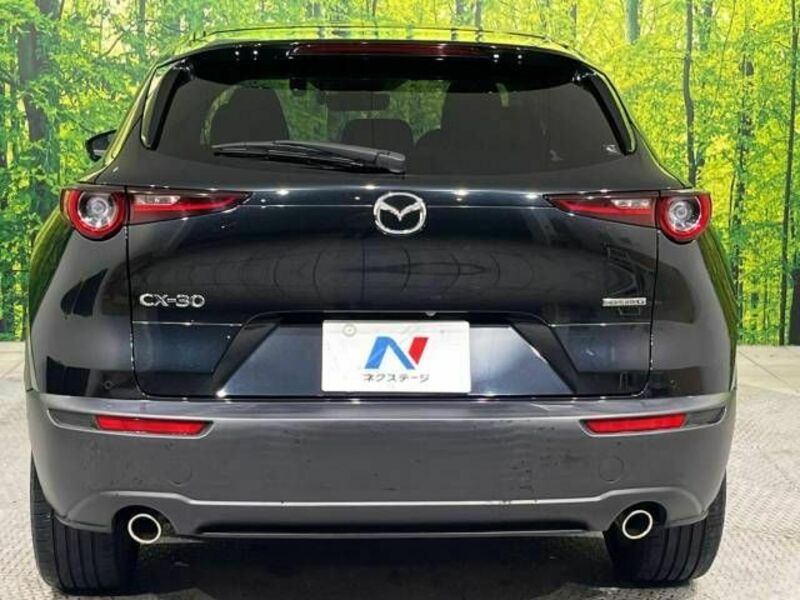 CX-30-15