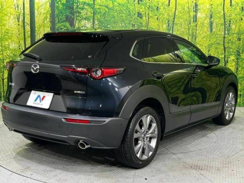 CX-30-17