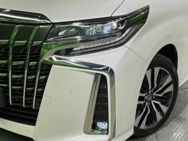 ALPHARD-13