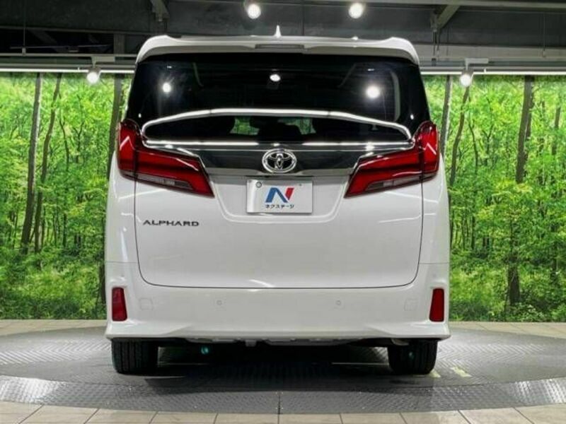 ALPHARD-16