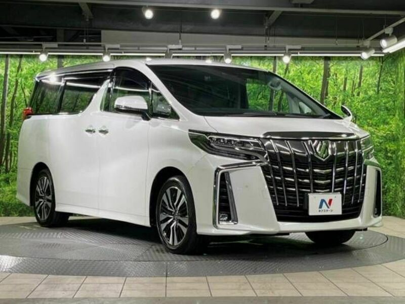 ALPHARD-17