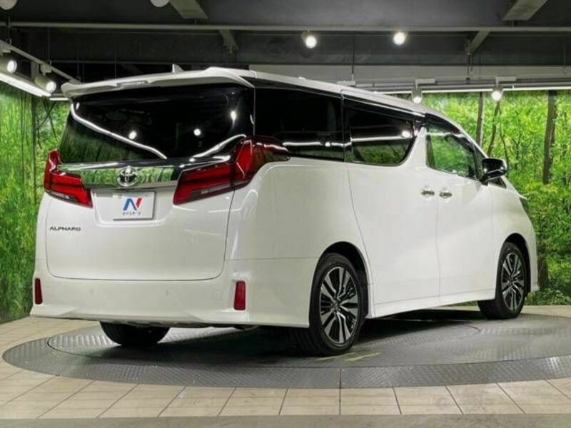 ALPHARD-18