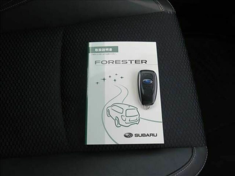 FORESTER-7