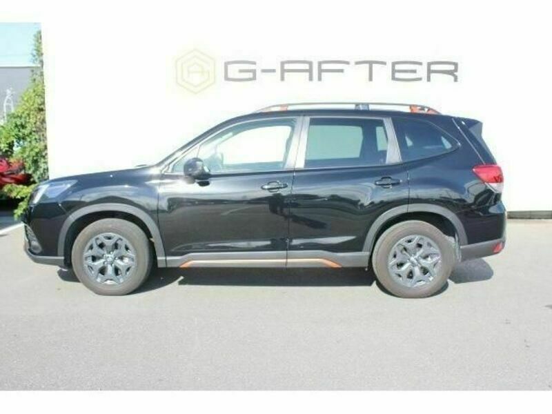 FORESTER-8