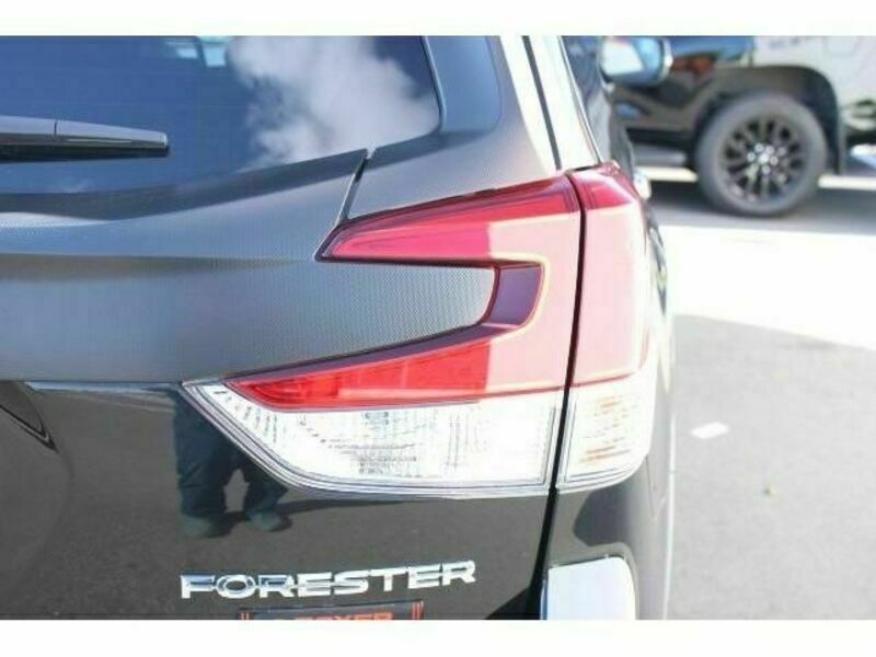 FORESTER-10