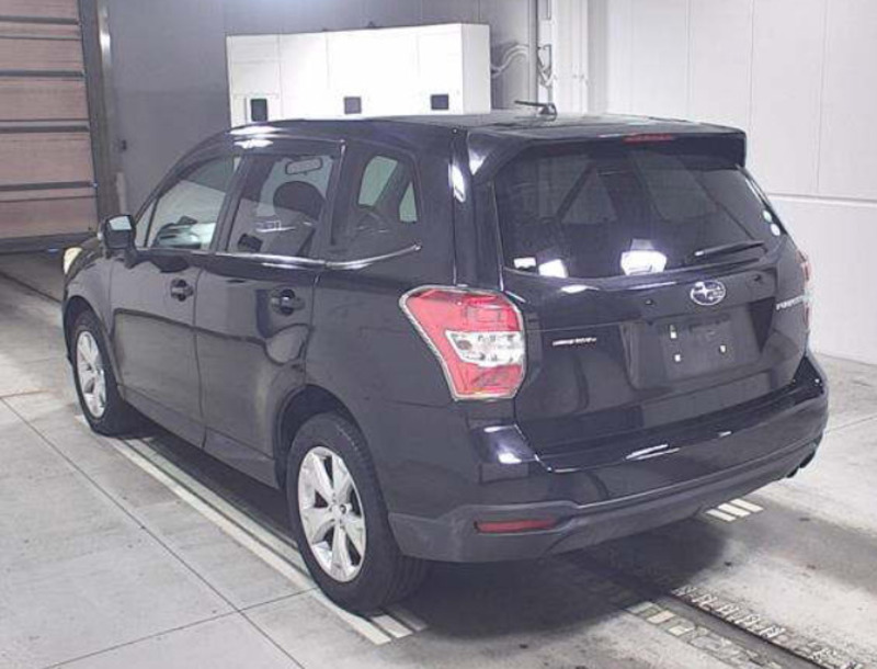 FORESTER-1