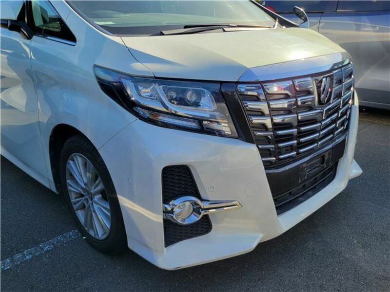 ALPHARD-3