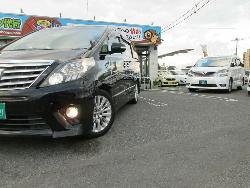 ALPHARD-17