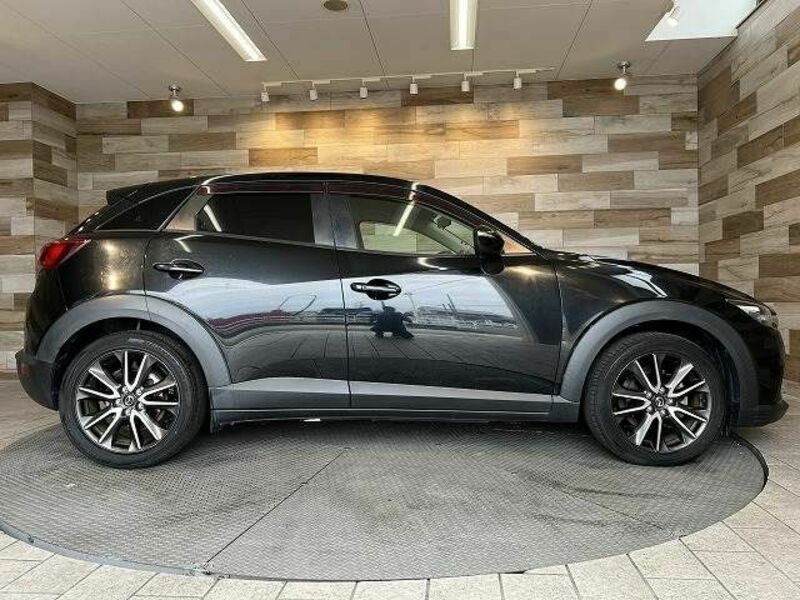 CX-3-13