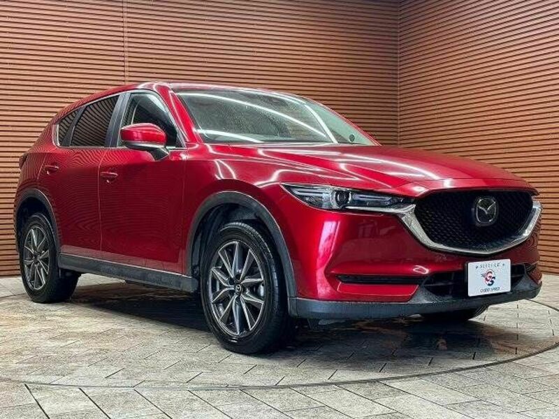 CX-5-13