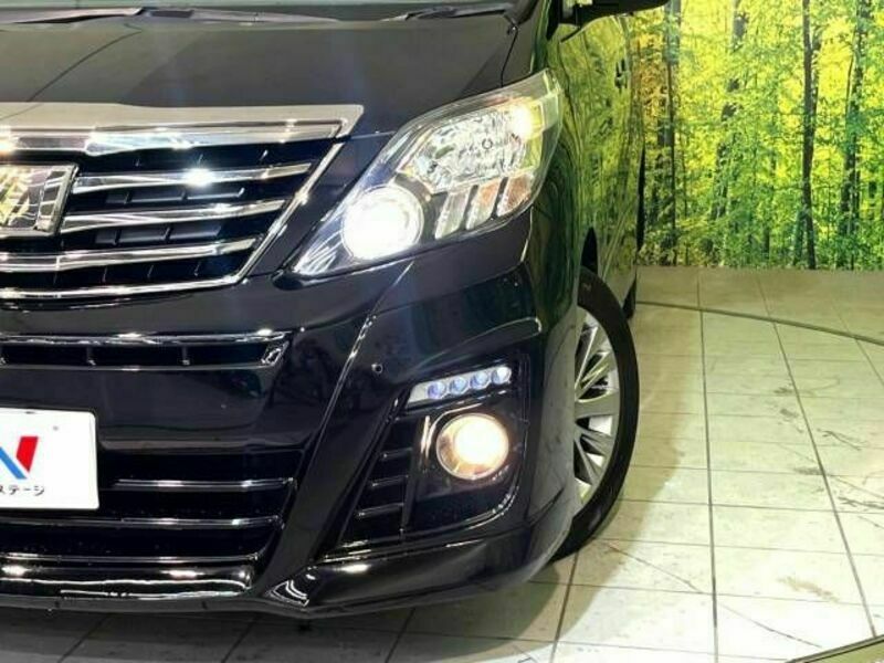 ALPHARD-12