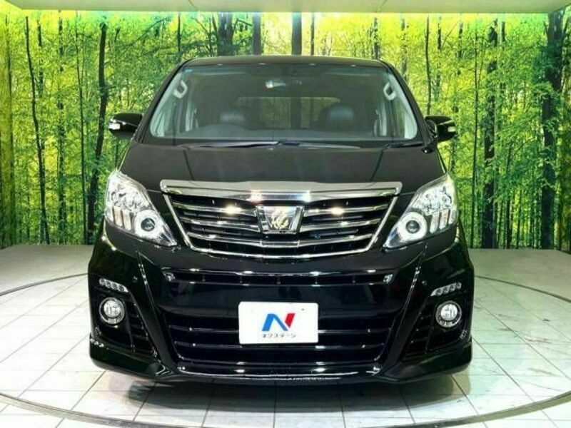 ALPHARD-14