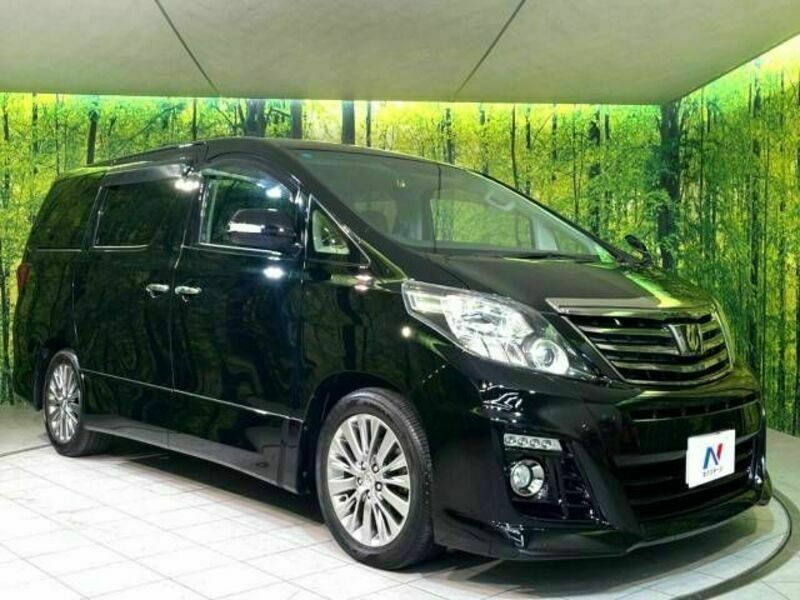 ALPHARD-16