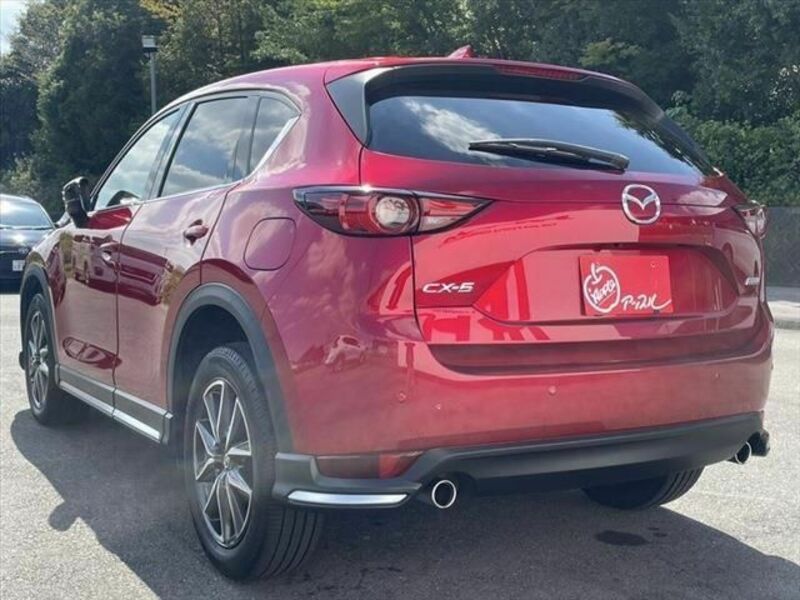 CX-5-19