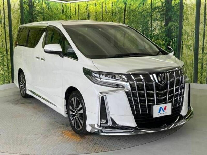 ALPHARD-18