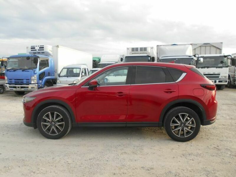 CX-5-6