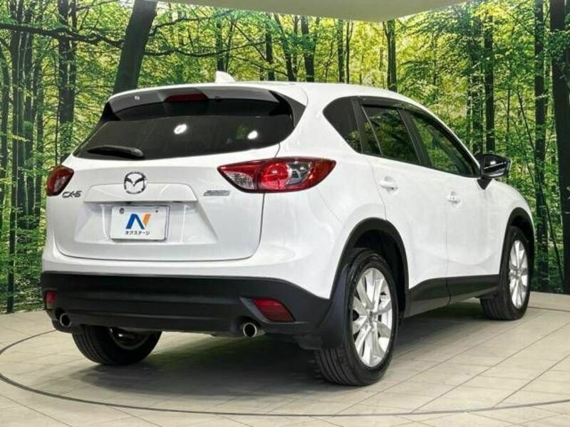 CX-5-17