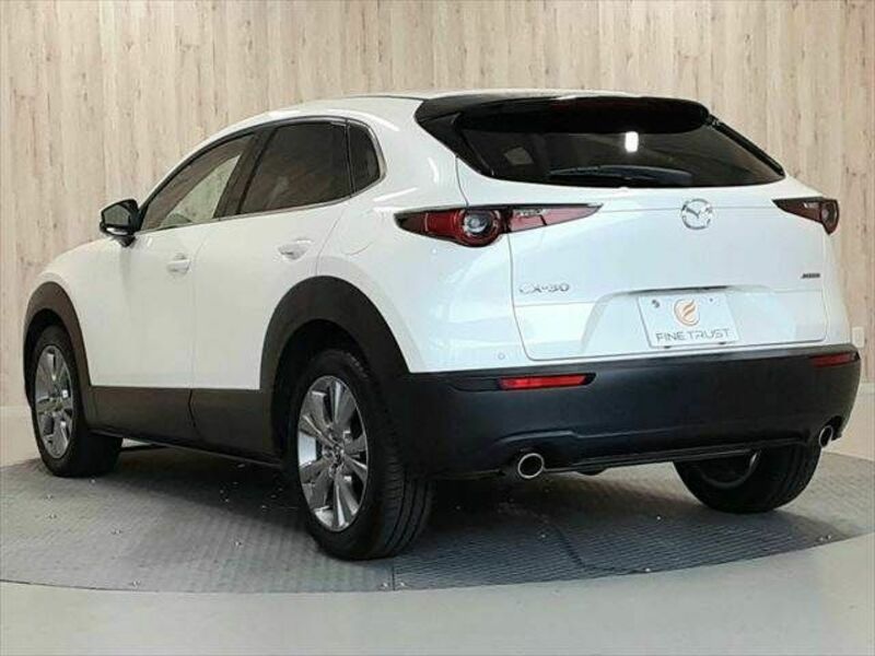 CX-30-19