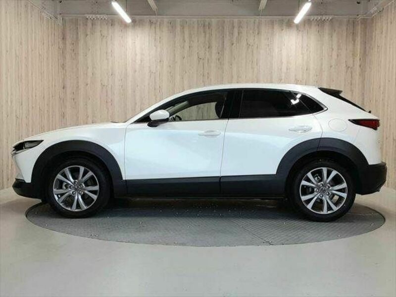 CX-30-20