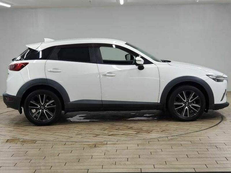 CX-3-13