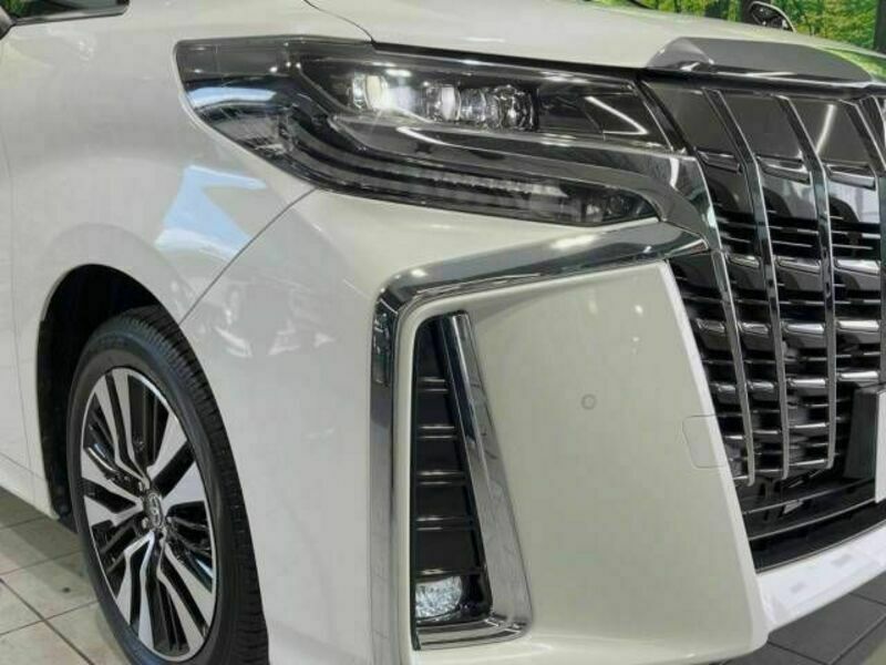 ALPHARD-13