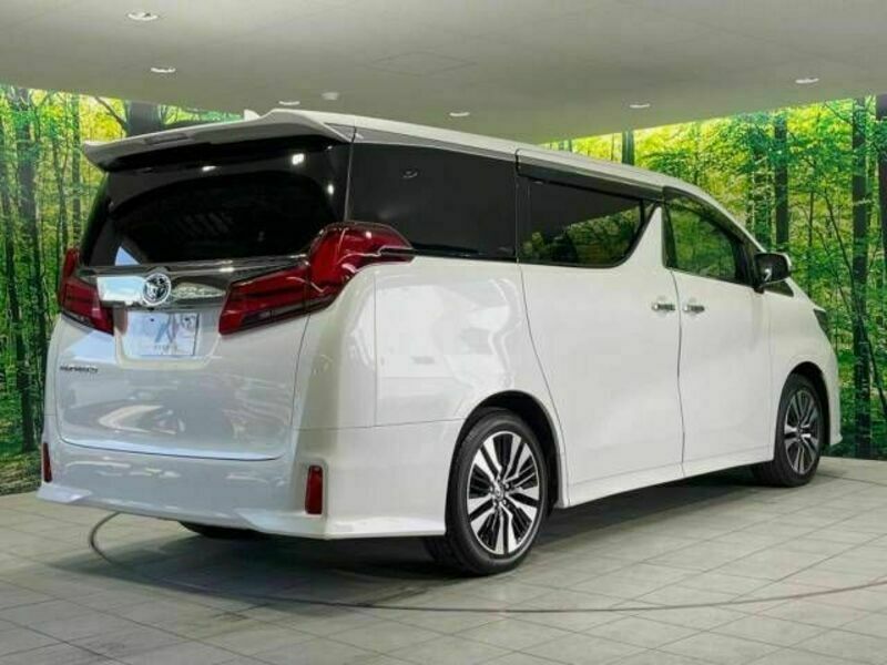 ALPHARD-18