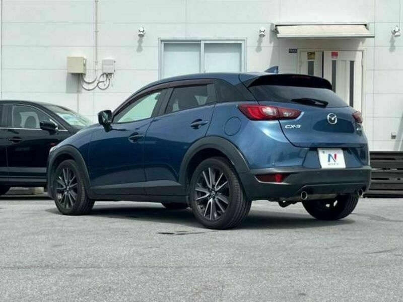 CX-3-19