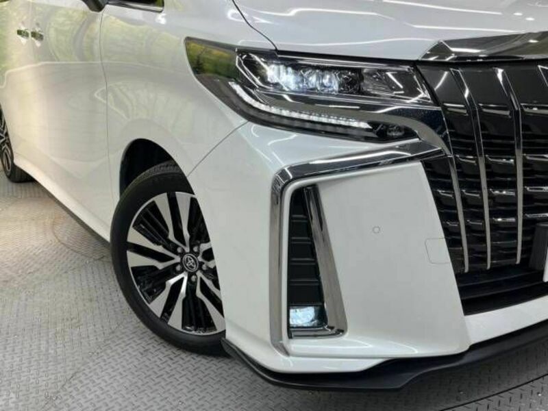 ALPHARD-13