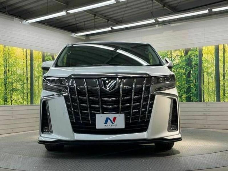 ALPHARD-15