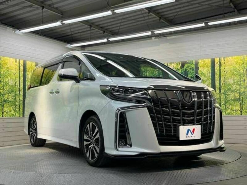 ALPHARD-17