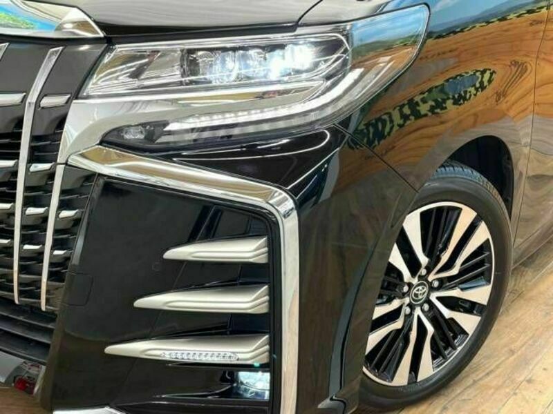 ALPHARD-12