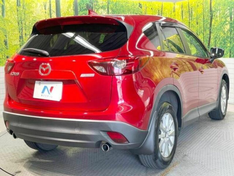 CX-5-17