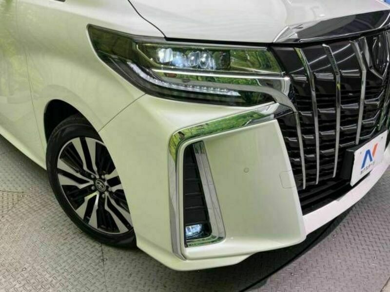 ALPHARD-12