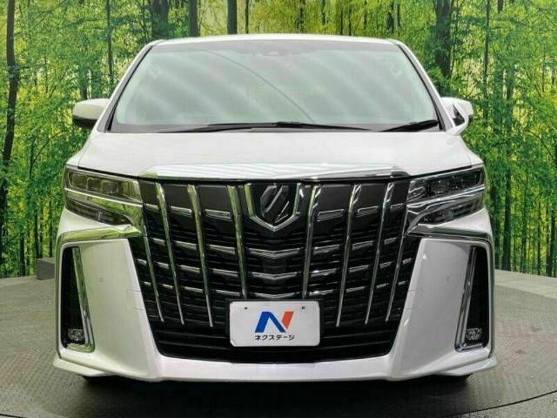 ALPHARD-14