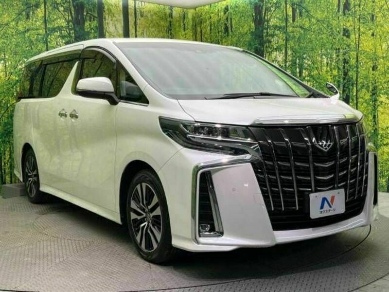 ALPHARD-16