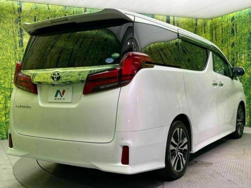 ALPHARD-17