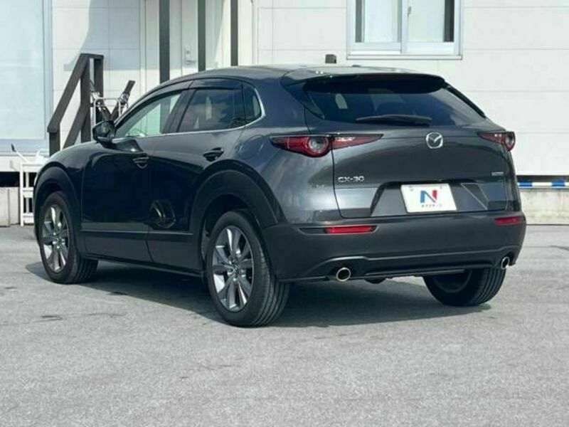 CX-30-19