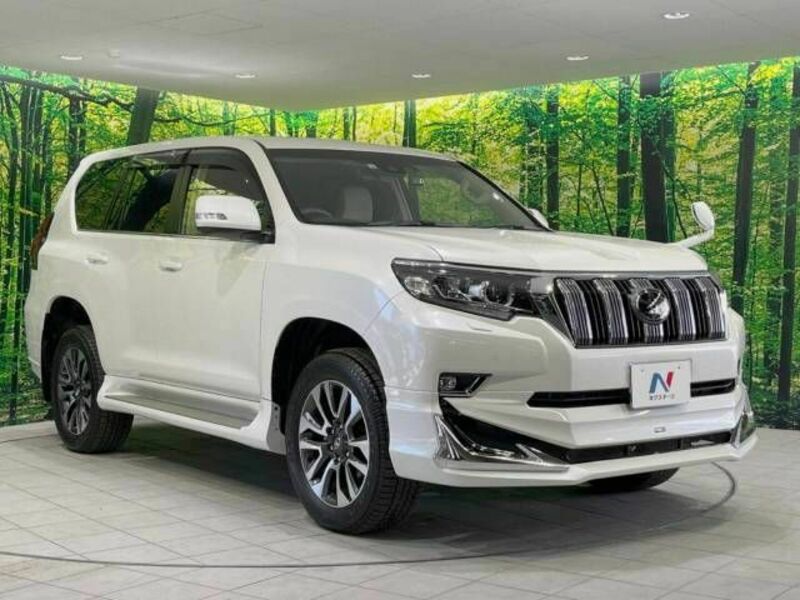 LAND CRUISER PRADO-17