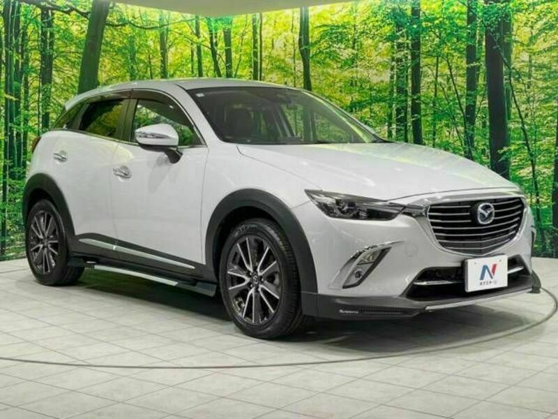 CX-3-16