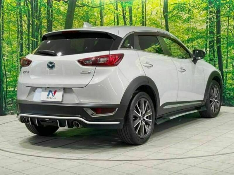 CX-3-17