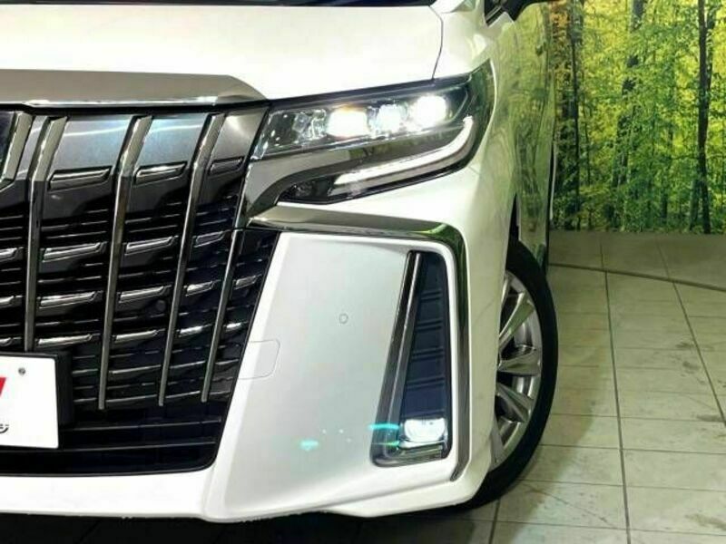 ALPHARD-14