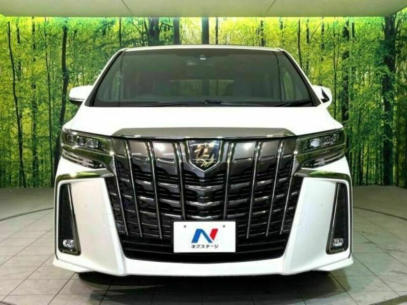 ALPHARD-16