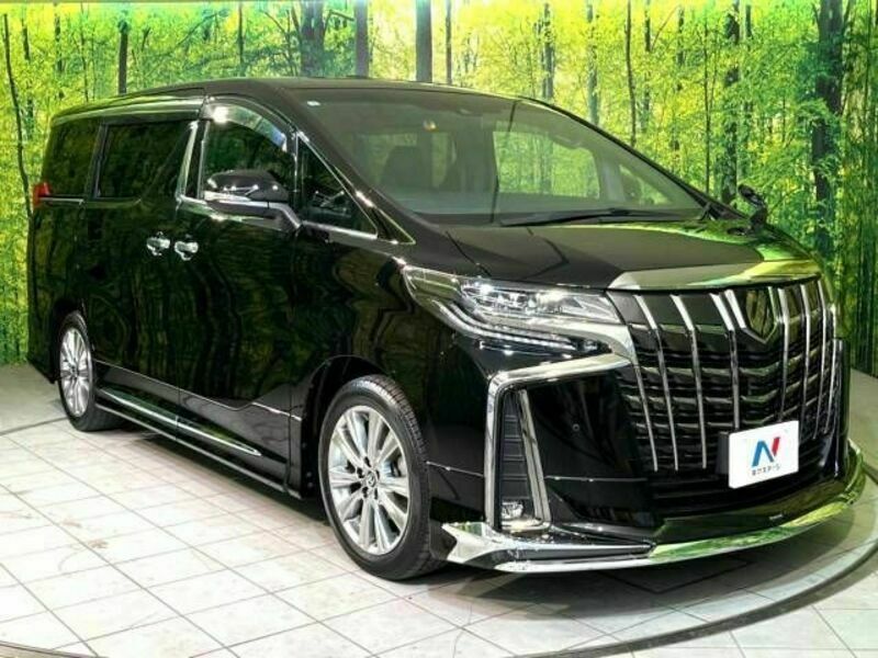 ALPHARD-16