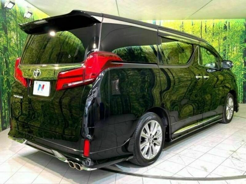 ALPHARD-17