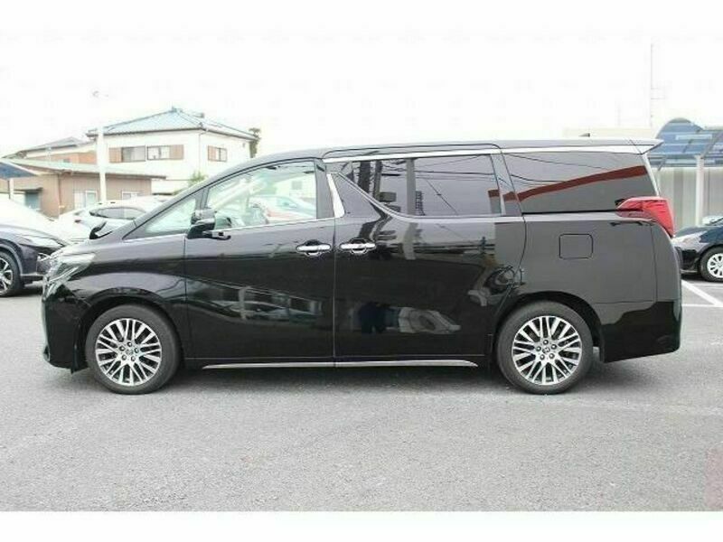 ALPHARD-10